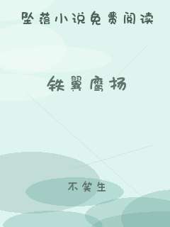 铁翼鹰扬